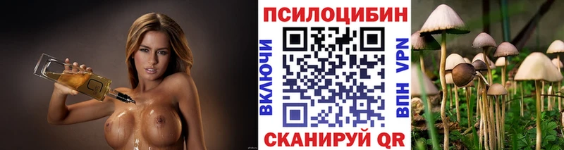 мориарти телеграм  кракен зеркало  Холмск  Галлюциногенные грибы Cubensis 